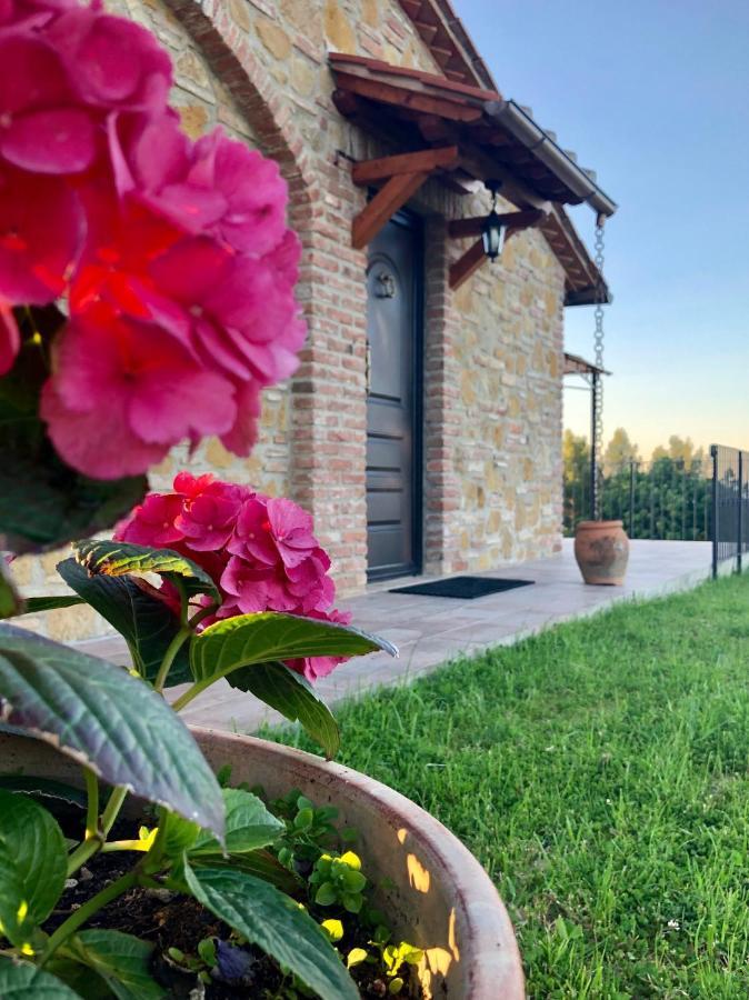 Agriturismo I Colli Montaione Luaran gambar