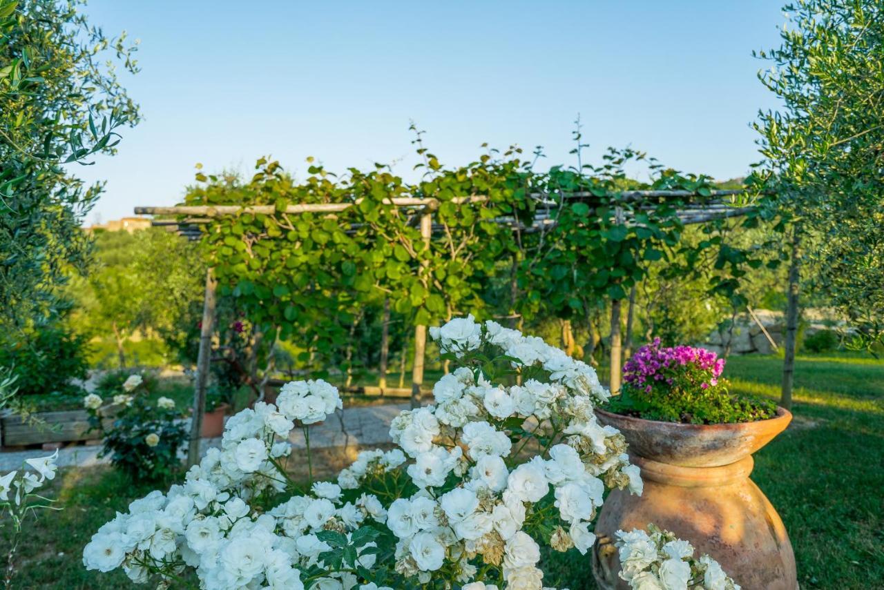 Agriturismo I Colli Montaione Luaran gambar