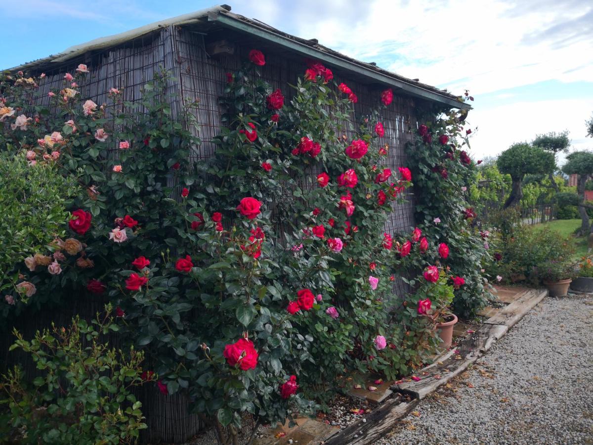 Agriturismo I Colli Montaione Luaran gambar