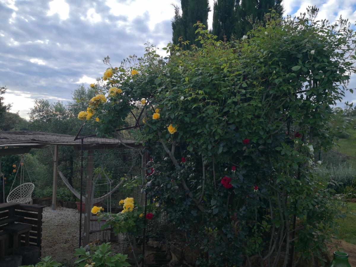 Agriturismo I Colli Montaione Luaran gambar